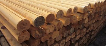 Методика снижения растрескивания древесины